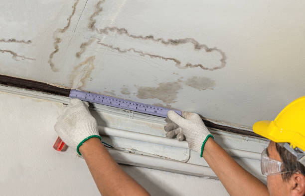 Reliable Water Damage contractor in Denver, CO by Water Damage Irwin